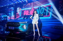 要激擎，更要经济，这个难题