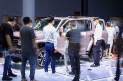 手握20万预算改选哪款城市SUV？网友：硬派潮品坦克300